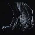images/portfolio/image78_hundekunst-com_Tierportraits_Saluki_monochrom_SW_Anja_Fuhrbach.jpg