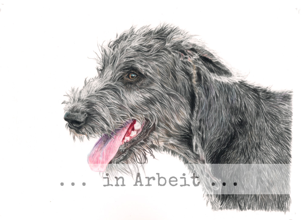 images/zeichnungen/hundekunst-com_Tierportraits_Irish_Wolfhound_Anja_Fuhrbach_260218.jpg#joomlaImage://local-images/zeichnungen/hundekunst-com_Tierportraits_Irish_Wolfhound_Anja_Fuhrbach_260218.jpg?width=1000&height=728