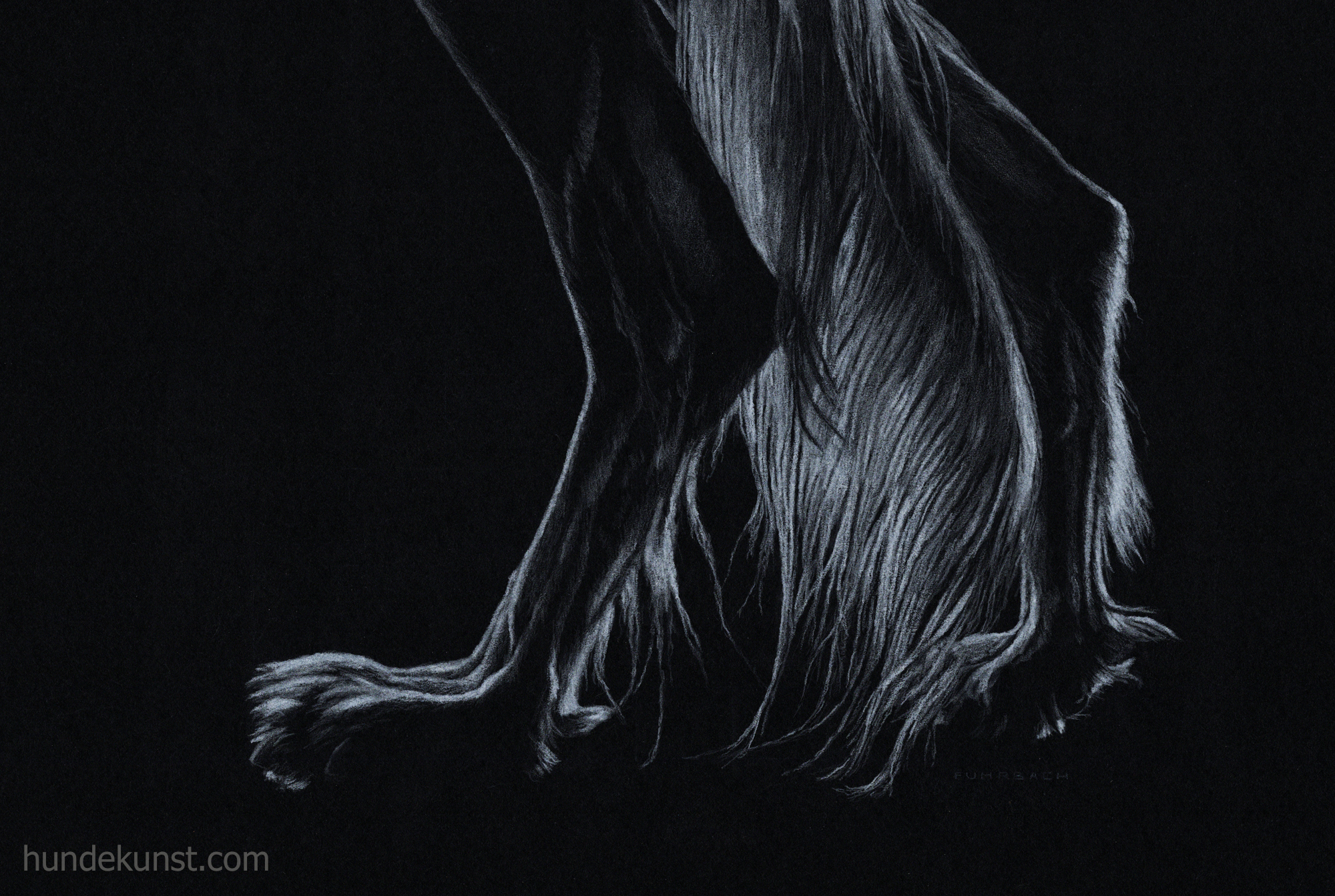 images/zeichnungen/hundekunst-com_Tierportraits_Saluki_monochrom_SW_Anja_Fuhrbach.jpg#joomlaImage://local-images/zeichnungen/hundekunst-com_Tierportraits_Saluki_monochrom_SW_Anja_Fuhrbach.jpg?width=2000&height=1343